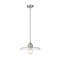 Z-Lite Paloma Pendant, 1-Light, 14 In.W x 6.25 In.H, Brushed Nickel/Clear 821P14-BN - alternate 3